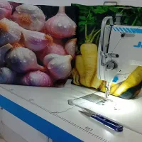 جاسبزی ودستگیرفانتزی