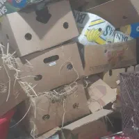 کارتن موزی درجه|حراج|جیرفت, |دیوار