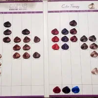 فروش کاتالوگ رنگ مو و ناخن|آرایشگاه و سالن‌های زیبایی|نیشابور, پاستور|دیوار