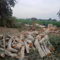 مشارکت در پروژه هزار  میلیاردی