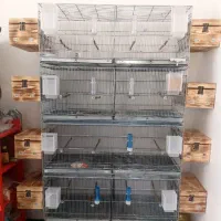 قفس پرون،قفس پژاوند 1033 قفس خورشیدی پایه قفس لانه