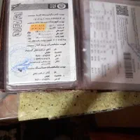 کیف مدارک پیدا شده