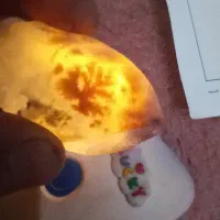 سنگ شجر.درختی|کلکسیون اشیاء عتیقه|بیرجند, |دیوار