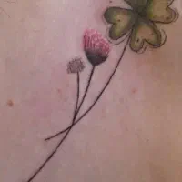 آماده همکاری با سالن های آرایشی