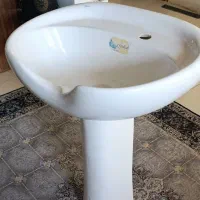 سرشور ایستاده