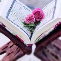 دعاعربی نتیجه3روزه تضمینی دستمزد بعدازنتیجه دهی