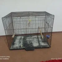 قفس مناسب قناری و مرغ عشق