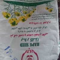 بذر کلزا هیولا ۵۰