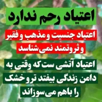 بدون وابستگی و بستری رها شو|فعالیت داوطلبانه|اردبیل, |دیوار