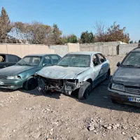 همکاری جهت حفاظت و کار