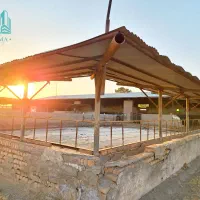 دامداری-و-زمین-کشاورزی-12-هکتار-پروانه-1000راسی