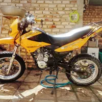 یک عدد تریل زرد