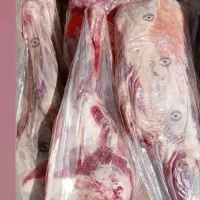 پخش گوشت منجمد  کلی وجزعی