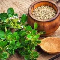 انواع روغن گیاهی و طبیعی
