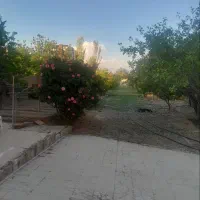 باغ-مهرشهر
