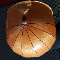 سه تار مسعود مصلی نژاد