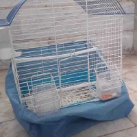 قفس پرنده