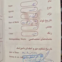 سگ فروشی|سگ|نیشابور, مدرس|دیوار