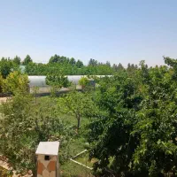 باغ ، ویلا ، گلخانه هیدروپونیک|فروش دفتر صنعتی، کشاورزی، تجاری|مشهد, درزآب|دیوار