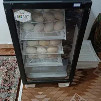 دستگاه جوجه کشی
