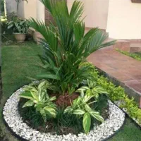 خدمات باغداری|خدمات باغبانی و درختکاری|آمل, |دیوار