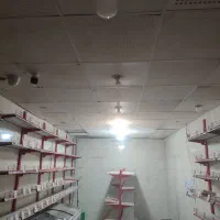 وسایل سوپر مارکت|فروشگاه و مغازه|کرمان, |دیوار