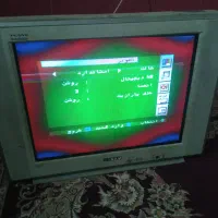 تلویزیون
