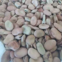 باقله خشک بهبهان