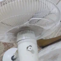 پنکه