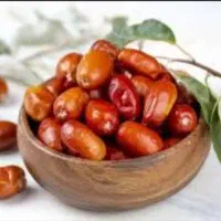 نهال سنجد ۲ساله