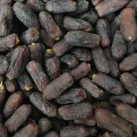 خرمای درجه یک پیارم حاجی آباد|حراج|حاجی آباد, |دیوار