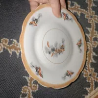 بشقاب چینی قدیمی|ظروف سرو و پذیرایی|فیروزآباد (فارس), |دیوار