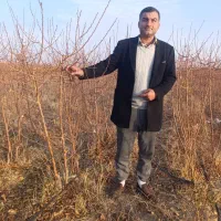 نهالستان برتر و با کیفیت شهر نهال|خدمات باغبانی و درختکاری|سرپل ذهاب, |دیوار