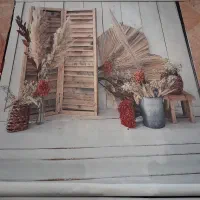فون عکاسی مدرسه  ۲×۳|دوربین عکاسی و فیلم‌برداری|تهران, شهرک آزمایش|دیوار
