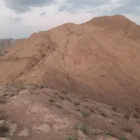 جوان جویای کار