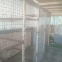 بیکار هستم اقا