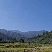 زمین ویلایی با ویو رویایی دریا و جنگل|فروش زمین و ملک کلنگی|چوبر, |دیوار