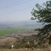 کارگر مرغداری