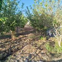 فروش زمین ۹۲۵ متری محدود پل زمانخان|فروش زمین و ملک کلنگی|باغ بهادران, |دیوار