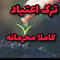 بصورت .کاملا .گیاهی .ترک. کن
