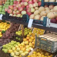 واگذاری میوه فروشی در بازار سرشور منطقه زوار خیز