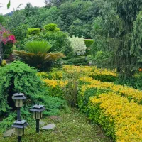 خانم جهت نظافت ویلا..