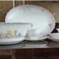 سرویس ظروف غذاخوری