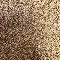 انواع غذای ماهی کوی گیاهخوار گوشتخوار کپور قزالا|ماهی|تهران, اسکندری|دیوار