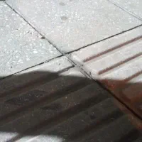 زمین برای گل خانه