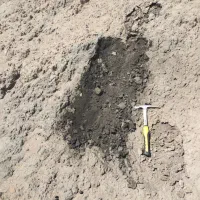 فرصت استثنایی برای سرمایه گذاری در معادن زغال‌سنگ|فروش دفتر صنعتی، کشاورزی، تجاری|بیرجند, |دیوار