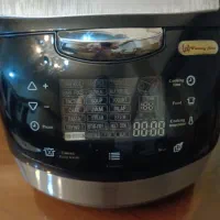 پلوپز لمسی دیجیتال ، در حد نو