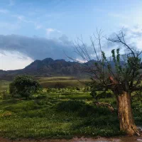 فروش ملک وزمین وساختمان