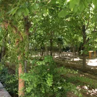 ویلا باغ کردان کوهسار|فروش خانه و ویلا|کوهسار (البرز), |دیوار