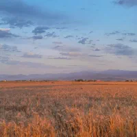 کمباین جاندر مدل ۹۶|خودرو سنگین|جلگه شوقان, |دیوار
